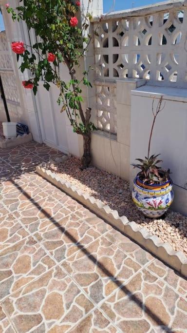 Maison Santa Pola Kültér fotó